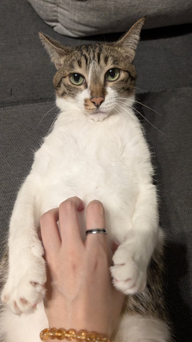 すっごい真顔で揉まれるやん