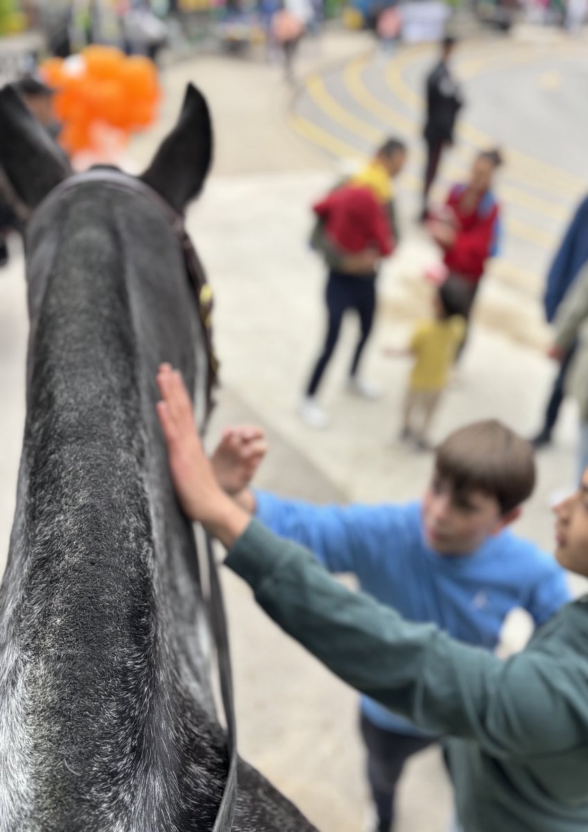 TPSMounted's tweet image. #PHSaunders creating smiles and educating young minds on how police horses are trained and utilized all over the globe for their superior crowd management strategies #policehorse #toronto #mounted #gentlegiants