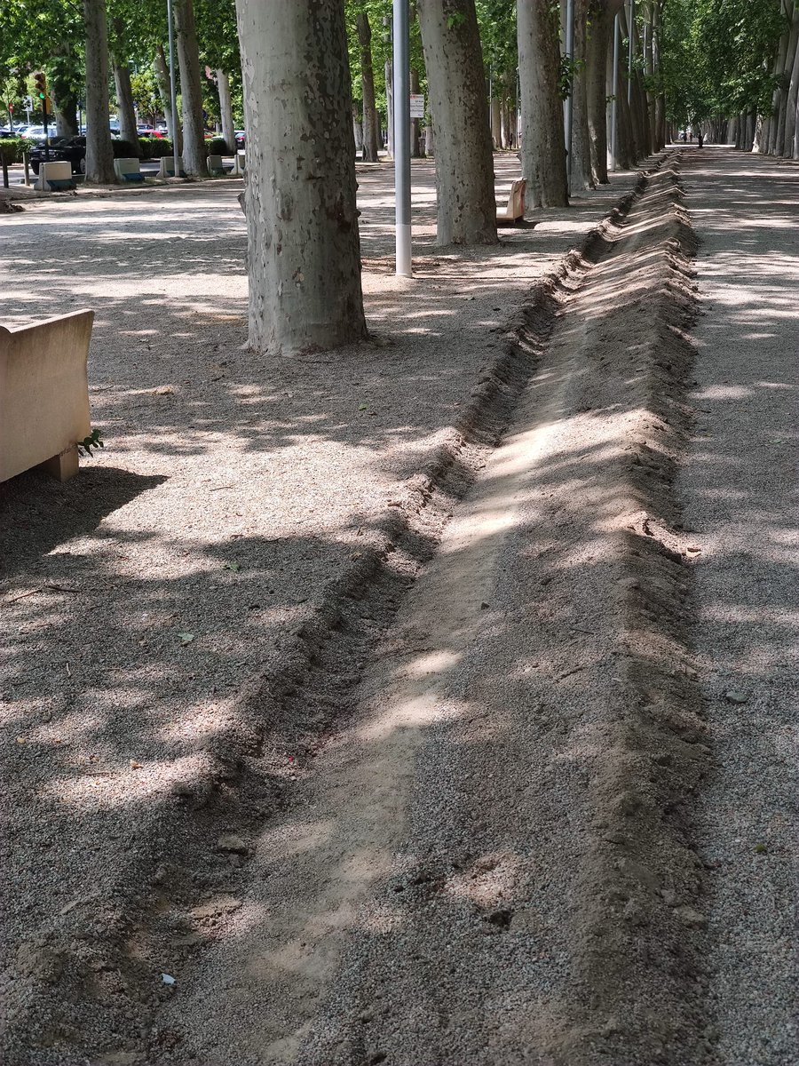 La Devesa tweet media