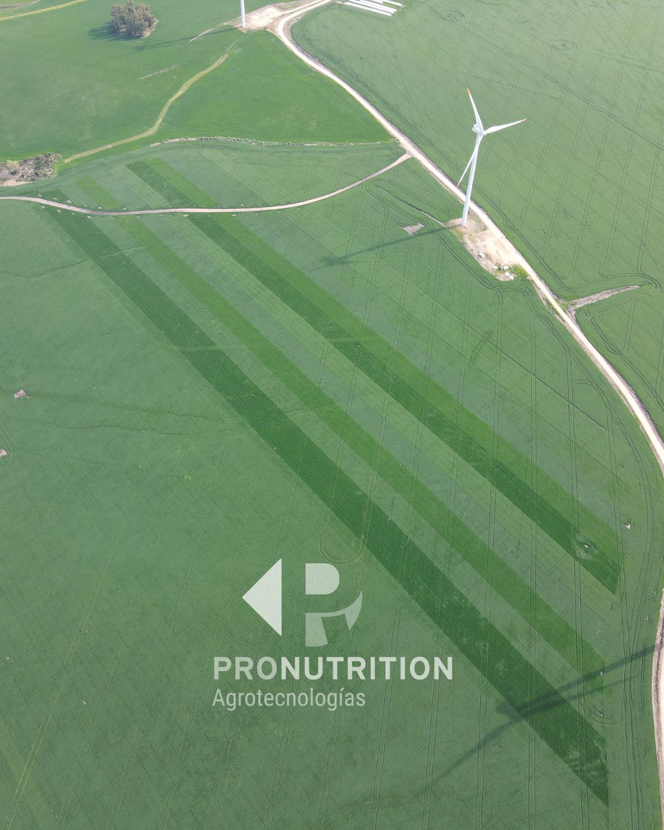 ProNutrition Agro tweet media