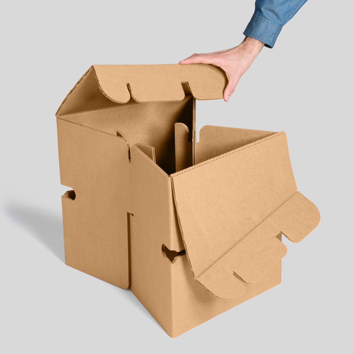 Cartonlab tweet media