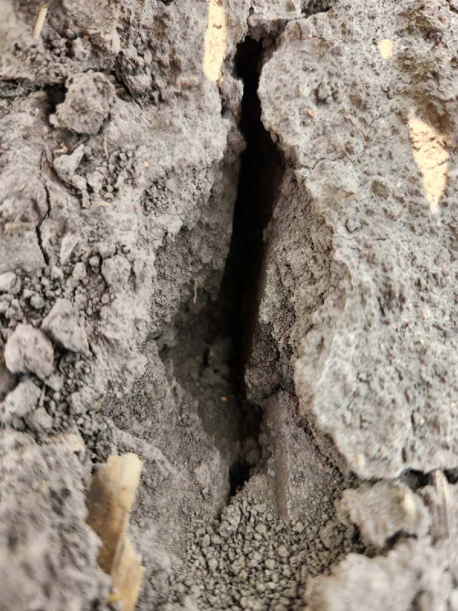 Pioneer Troy tweet media