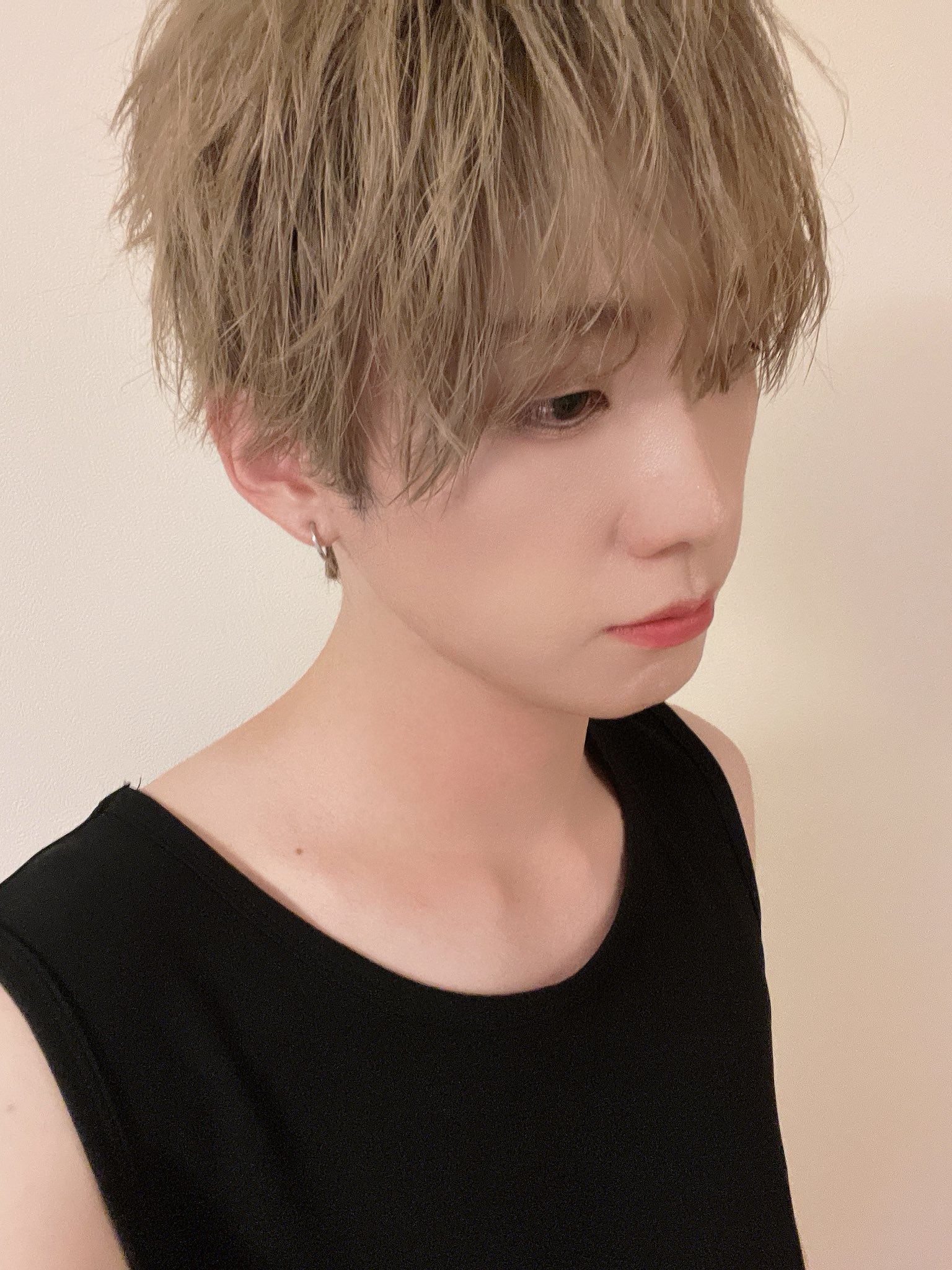 MeseMoa. めせもあ。 チェキ 気まぐれプリンス 15枚+トレカ