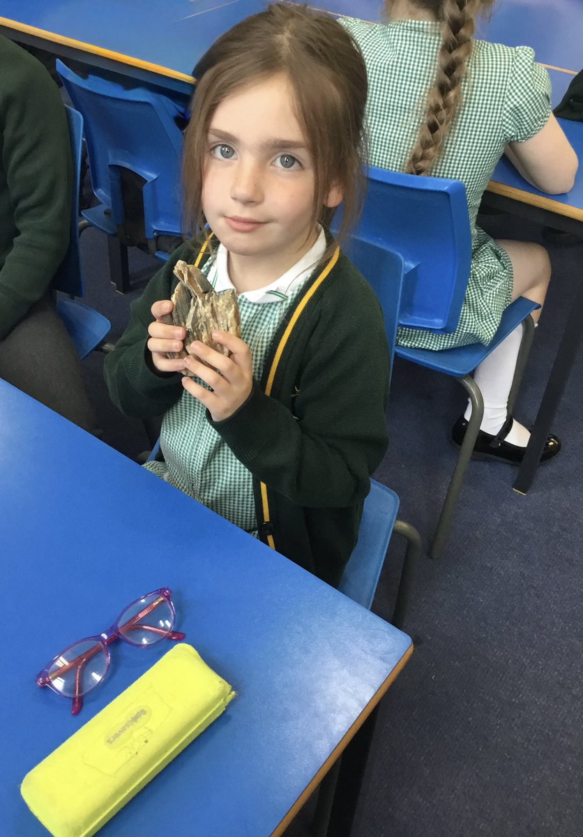 Kings Lander Primary Academy tweet media