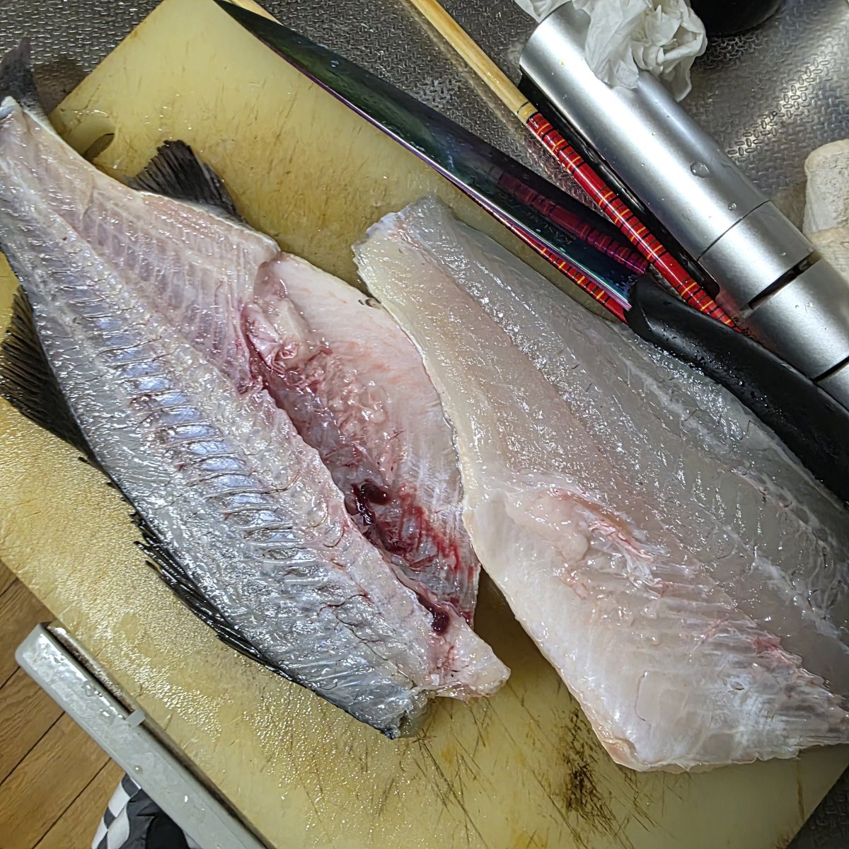 n_elfi_r's tweet image. もらったイカともらったヒラと自分でとったハマグリ。笑
イカ釣りばっかやから魚釣り行きたくなってきた🥲
何でもいいから魚釣りたい🥺