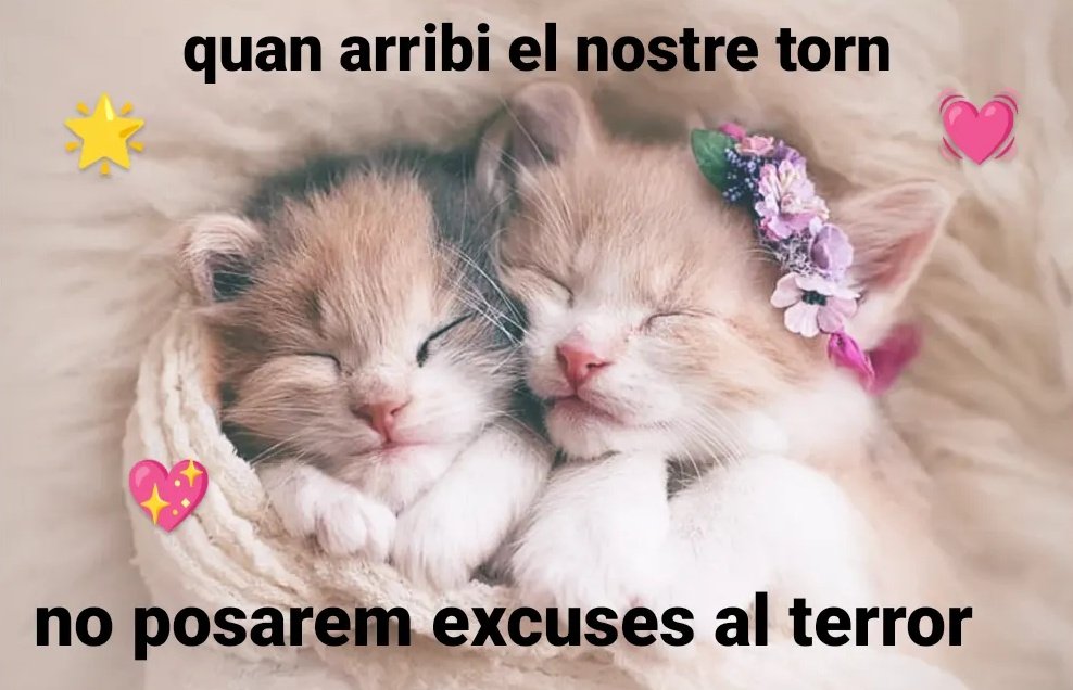 succeDani (@succedani) on Twitter photo 