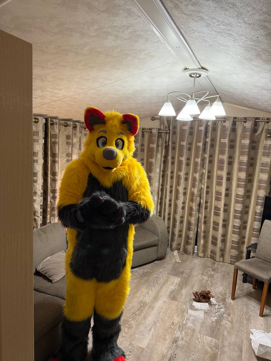 YellowFluffDog's tweet photo. This has been a stuggle to keep quite. Can't belive he is hear v2. Made by the amazing @starslikeroses 

He will be out an about at @EdinburghPride in a few weeks time. 

Can't belive how soft and fluffy he is eeeeek. 

#furry #furryfandom #furries #FursuitsEveryday #fursuiter https://t.co/5Bs4gjHgvW