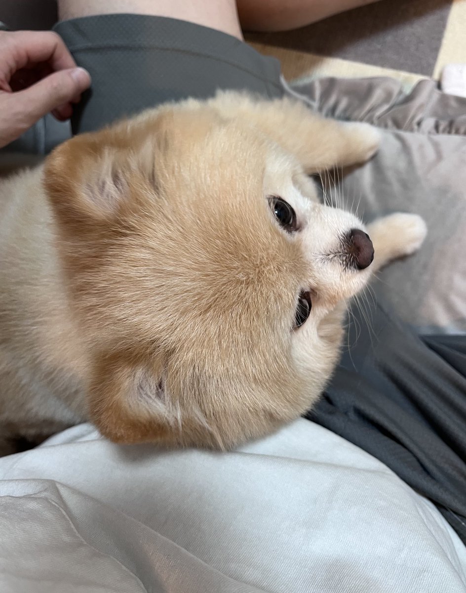 座るとすぐ足をロックしてくる