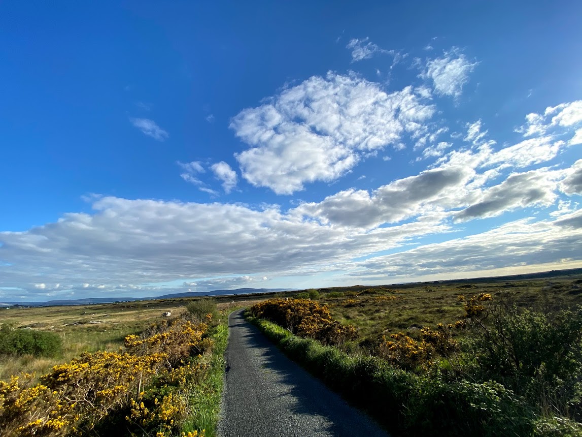 The Village Salthill (@villagesalthill) on Twitter photo As the Leaving Cert begins, it’s worth remembering:
Not everyone walks the same road.
Not every path is straight.
Trust yourself. Take your time. And know this:
There is more than one way forward.
Life isn’t a straight path.
Keep walking anyway.
Photo; Brian Nolan <a href="/GalwayWalks/">Brian Nolan. Storyteller. Fun Walking Tours</a> As the Leaving Cert begins, it’s worth remembering:
Not everyone walks the same road.
Not every path is straight.
Trust yourself. Take your time. And know this:
There is more than one way forward.
Life isn’t a straight path.
Keep walking anyway.
Photo; Brian Nolan <a href="/GalwayWalks/">Brian Nolan. Storyteller. Fun Walking Tours</a>