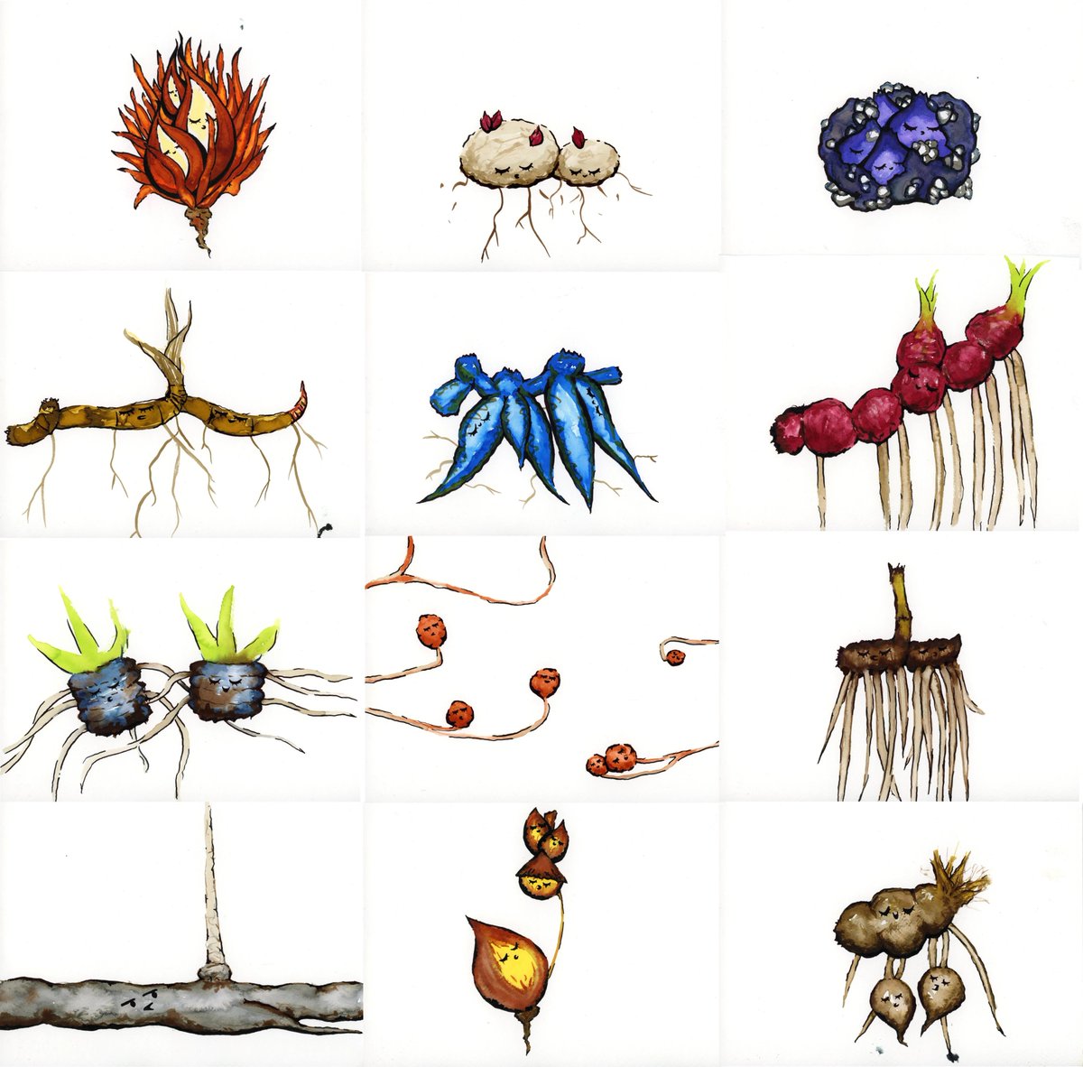 ExFuMo1's tweet image. These examples are just a fraction of the incredible diversity in belowground storage organs inspired by southern African or North American species, but there are beautiful and inspirational storage organs to be found all over the world!
▶️1url.cz/NJwc0
#GoBelowground