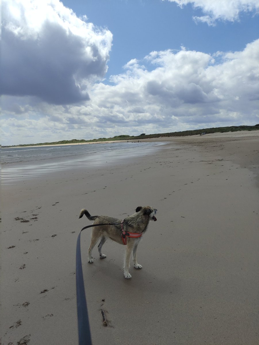 The Jackster missing Victordog1🌈🌈💔 tweet media