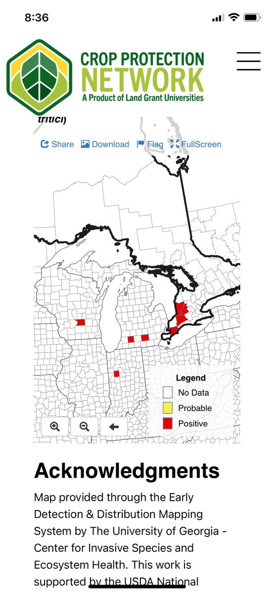 Martin Chilvers (@martinchilvers1) on Twitter photo Elevated Fusarium head scab risk in Michigan has been noted along the east of the thumb. wheatscab.psu.edu <a href="/MSU_PSM/">MSU-PSM Department</a> <a href="/MSUEFieldCrops/">MSU Extension Field Crops</a> <a href="/MSUWheat/">MSU Wheat Genetics</a> And more reports of stripe rust have also come in cropprotectionnetwork.org/maps/wheat-str… <a href="/MSUExtension/">MSU Extension</a> Elevated Fusarium head scab risk in Michigan has been noted along the east of the thumb. wheatscab.psu.edu <a href="/MSU_PSM/">MSU-PSM Department</a> <a href="/MSUEFieldCrops/">MSU Extension Field Crops</a> <a href="/MSUWheat/">MSU Wheat Genetics</a> And more reports of stripe rust have also come in cropprotectionnetwork.org/maps/wheat-str… <a href="/MSUExtension/">MSU Extension</a>