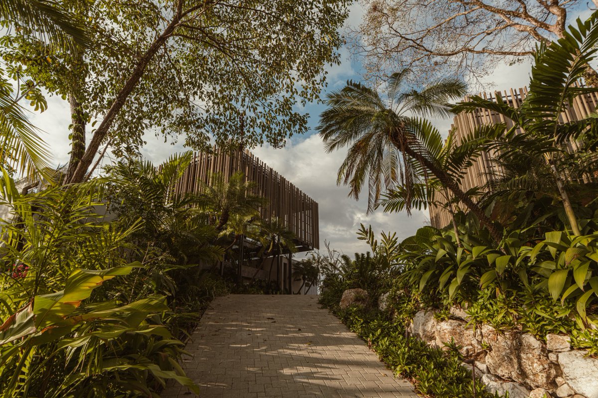 StudioSaxe's tweet image. “Set on a hilltop above the Pacific in Santa Teresa, two wooden pavilions rise gently above the jungle canopy, framing panoramic ocean views”

studiosaxe.com/projects/casa-…

.
.
.