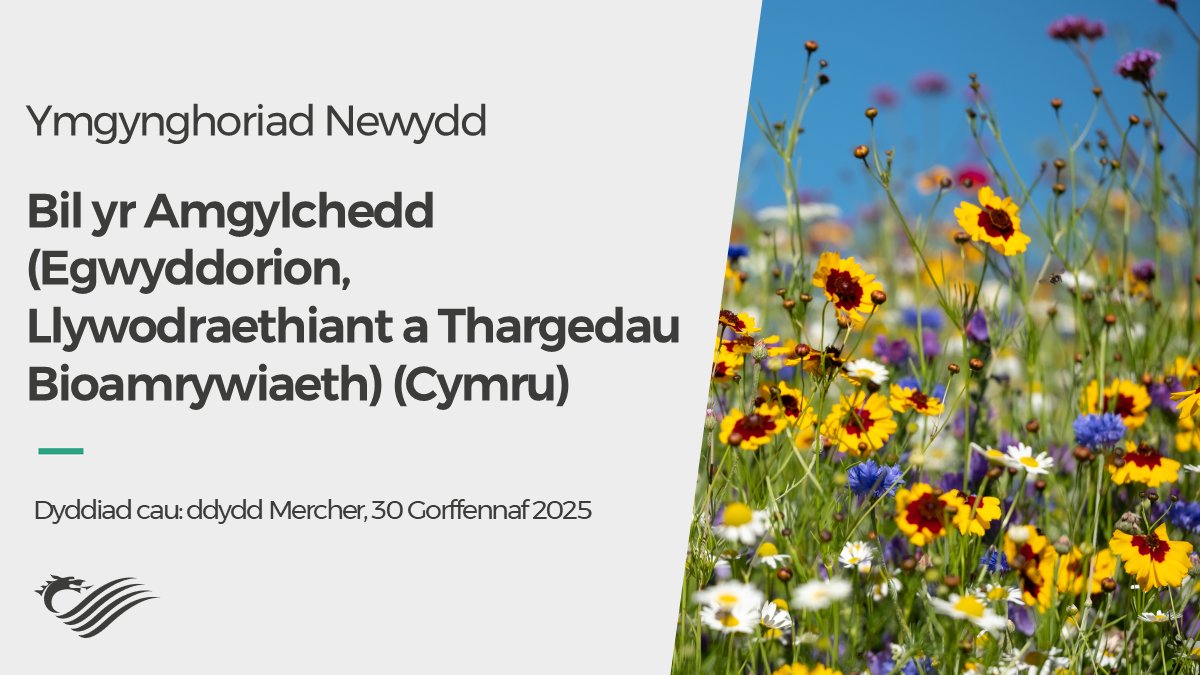 🔥👂 Newydd ei gyhoeddi: Heddiw rydym yn lansio ein hymgynghoriad ar egwyddorion cyffredinol y Bil yr Amgylchedd (Egwyddorion, Llywodraethiant a Thargedau Bioamrywiaeth) (Cymru)🌼.

Mae'r ymgynghoriad ar agor hyd at 30 Gorffennaf 2025. Dyma sut i gyfrannu:
busnes.senedd.cymru/mgConsultation…