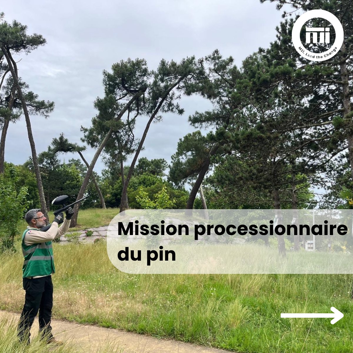 M2i Group tweet media