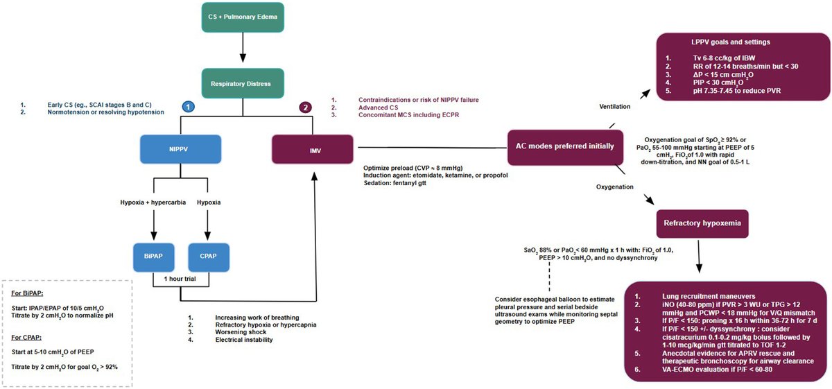 Saraschandra Vallabhajosyula, MD MSc (@sarasvallabhmd) on Twitter photo As I fly to <a href="/UMN_CCCEdSummit/">UMN Critical Care Cardiology Education Summit</a>, it is only befitting to highlight this review by superstar <a href="/BrownIMChiefs/">Brown IM Residency</a> resident, <a href="/CMeht1947/">Chirag Mehta</a> in #AHJPlus on non-cardiac organ failure in #CardiogenicShock - pubmed.ncbi.nlm.nih.gov/40463835/. #CritCareCards are crucial to progressing care in the #CICU. As I fly to <a href="/UMN_CCCEdSummit/">UMN Critical Care Cardiology Education Summit</a>, it is only befitting to highlight this review by superstar <a href="/BrownIMChiefs/">Brown IM Residency</a> resident, <a href="/CMeht1947/">Chirag Mehta</a> in #AHJPlus on non-cardiac organ failure in #CardiogenicShock - pubmed.ncbi.nlm.nih.gov/40463835/. #CritCareCards are crucial to progressing care in the #CICU.