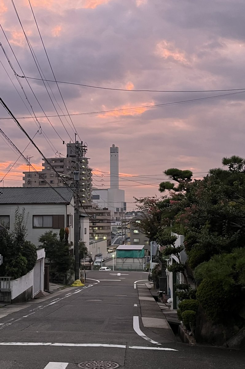 iiroji_bot's tweet image. 