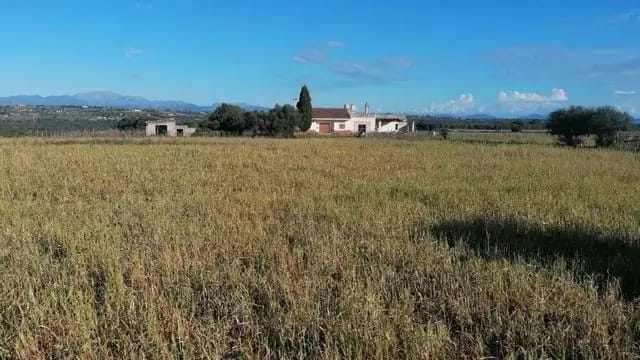 Maria no tindrà el Parc Fotovoltaic ‘Alten Mallorca III’ gràcies a una denúncia prèvia dels Socialistes de Maria.

🔗 psib-psoe.org/mallorca/maria…