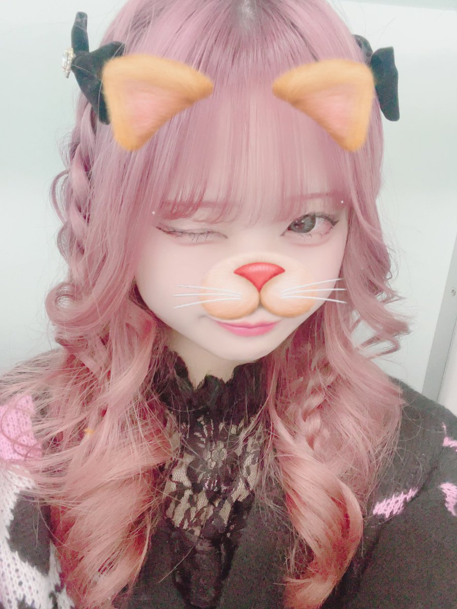 うたむぽんぽこ太郎 tweet media