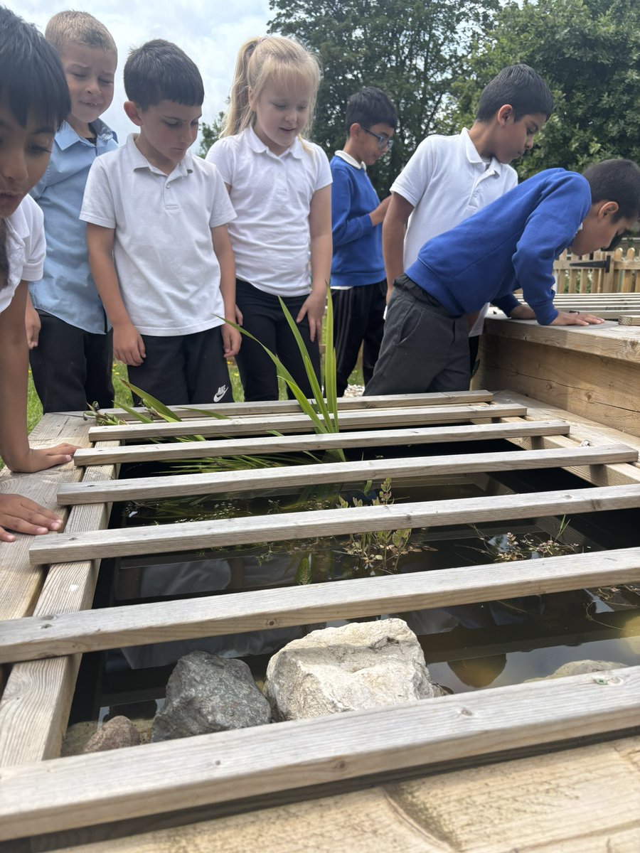 Our Year 2 children were led by our gardener to harvest the peas they had previously planted…a great way to #NourishToFlourish 🫛 🌺 🐝 
<a href="/LiftSchools/">Lift Schools</a> <a href="/BirminghamEdu/">Birmingham Education</a> <a href="/LLF_DHT/">Mr. White DHT </a>