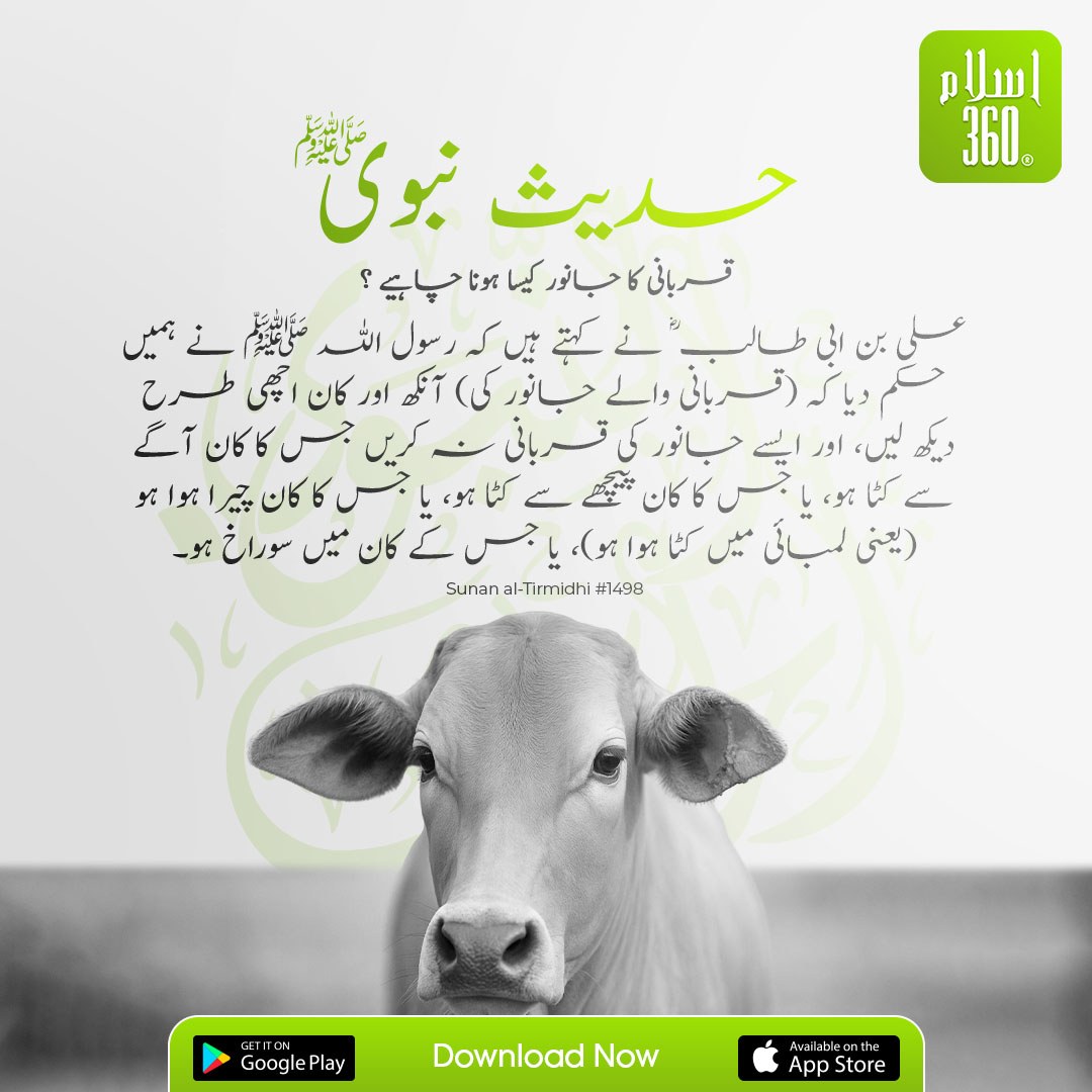 the_islam_360's tweet photo. آپ ﷺ نے حکم دیا
.
.
#Islam360 #QuranVerses #QuranTranslation #QuranWithMeaning #AyatOfTheDay #WordsOfAllah #LearnQuran #IslamicApp #DeenMadeEasy #SpiritualGuidance #GuidedByQuran #IslamicReminder https://t.co/9ZvTJ9EkeY