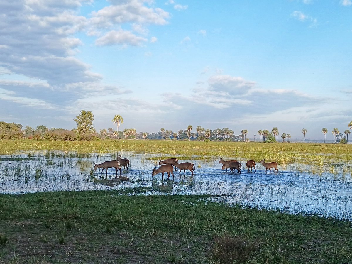 Ndiye wina aziti iyayi kumalawi kulibe chochita, Malawi kulibe Malo okongola, inu mumakayenda kuti? Bassop!!!!

Malawi’s beauty is unmatched, don’t you think?

adventureswithcolbymw.com