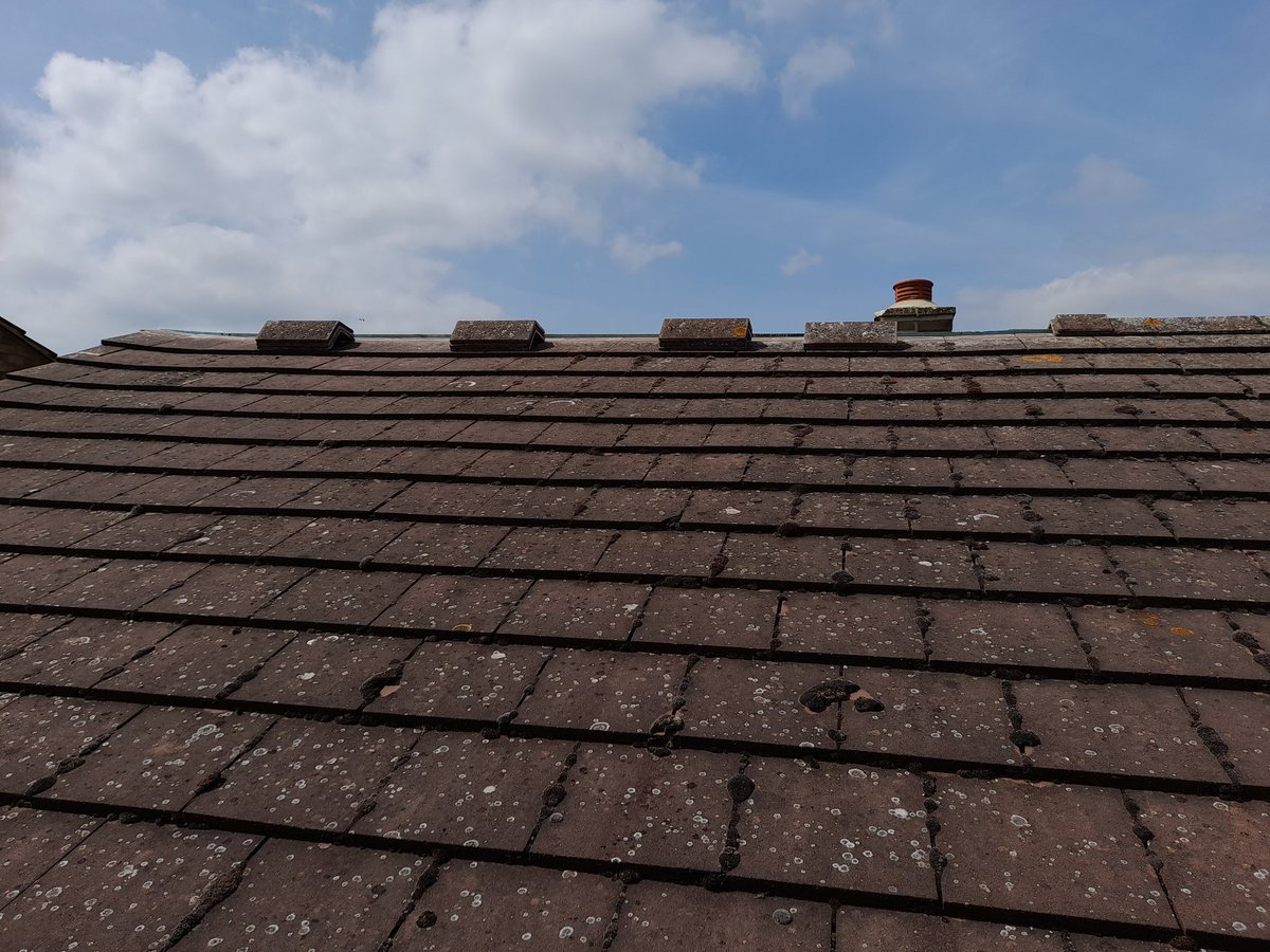 MJKRoofing's tweet photo. Dry Ridgeline Instalation
https://t.co/kPoitj2eCA 
@MJKRoofing
#mjkroofing #rooferschelmsford #chelmsford #ViratKohli𓃵 #วอลเลย์บอลหญิง #deprem https://t.co/JqWp4CxtYR