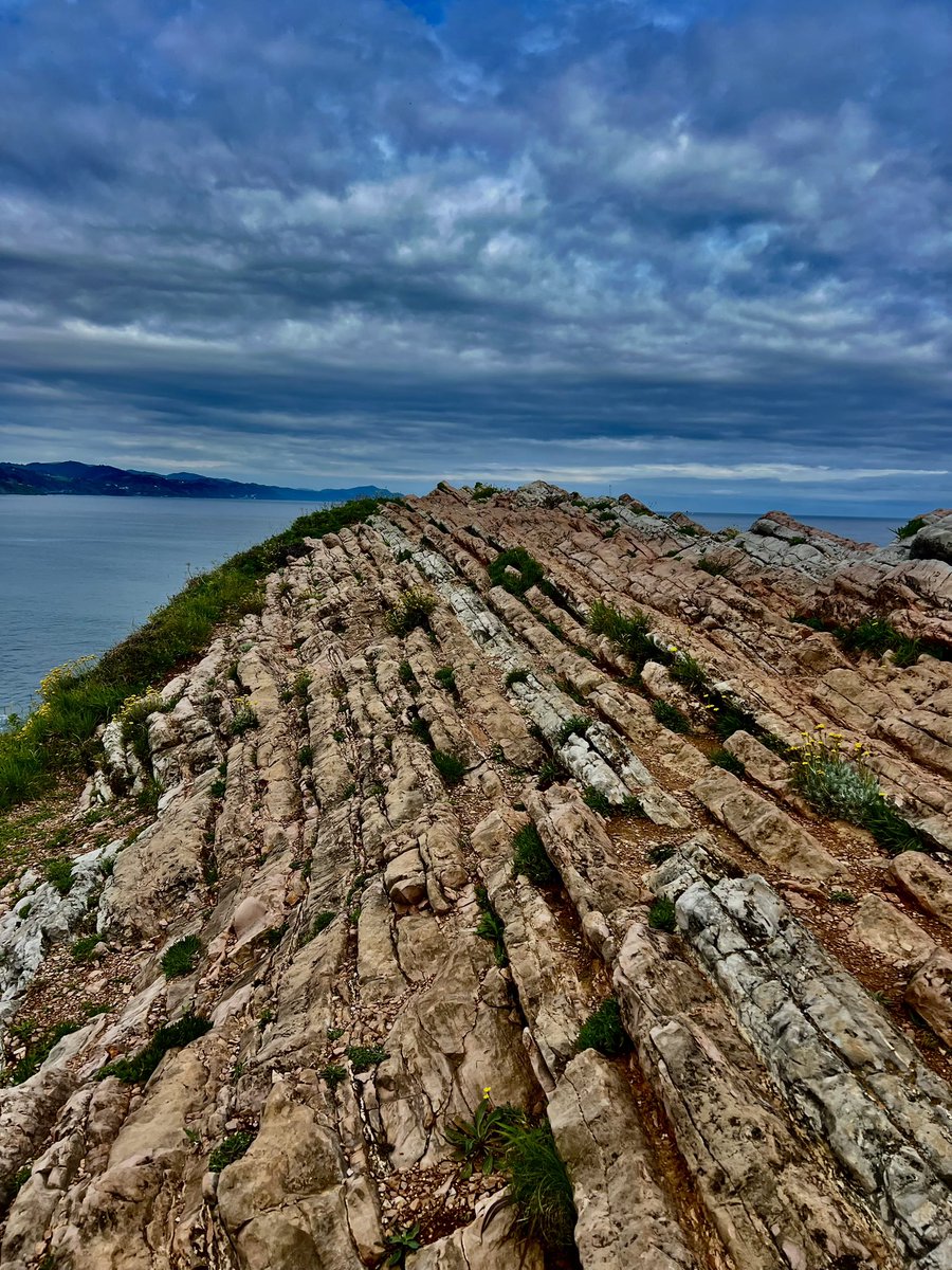 roccorossiTO's tweet photo. The amazing flysch formations between Zumaia and Deba. #CaminoDelNorte https://t.co/wYgqQBWKZt