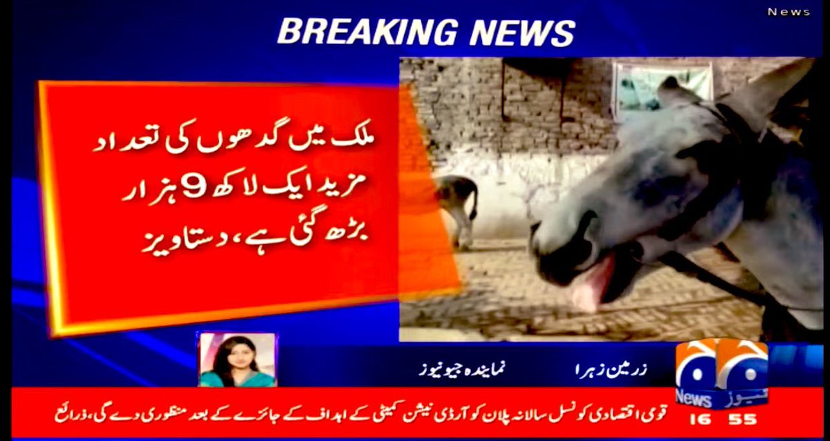 پاکستان میں گدھوں کی تعداد تیزی سے بڑھتی جارہی ہے۔