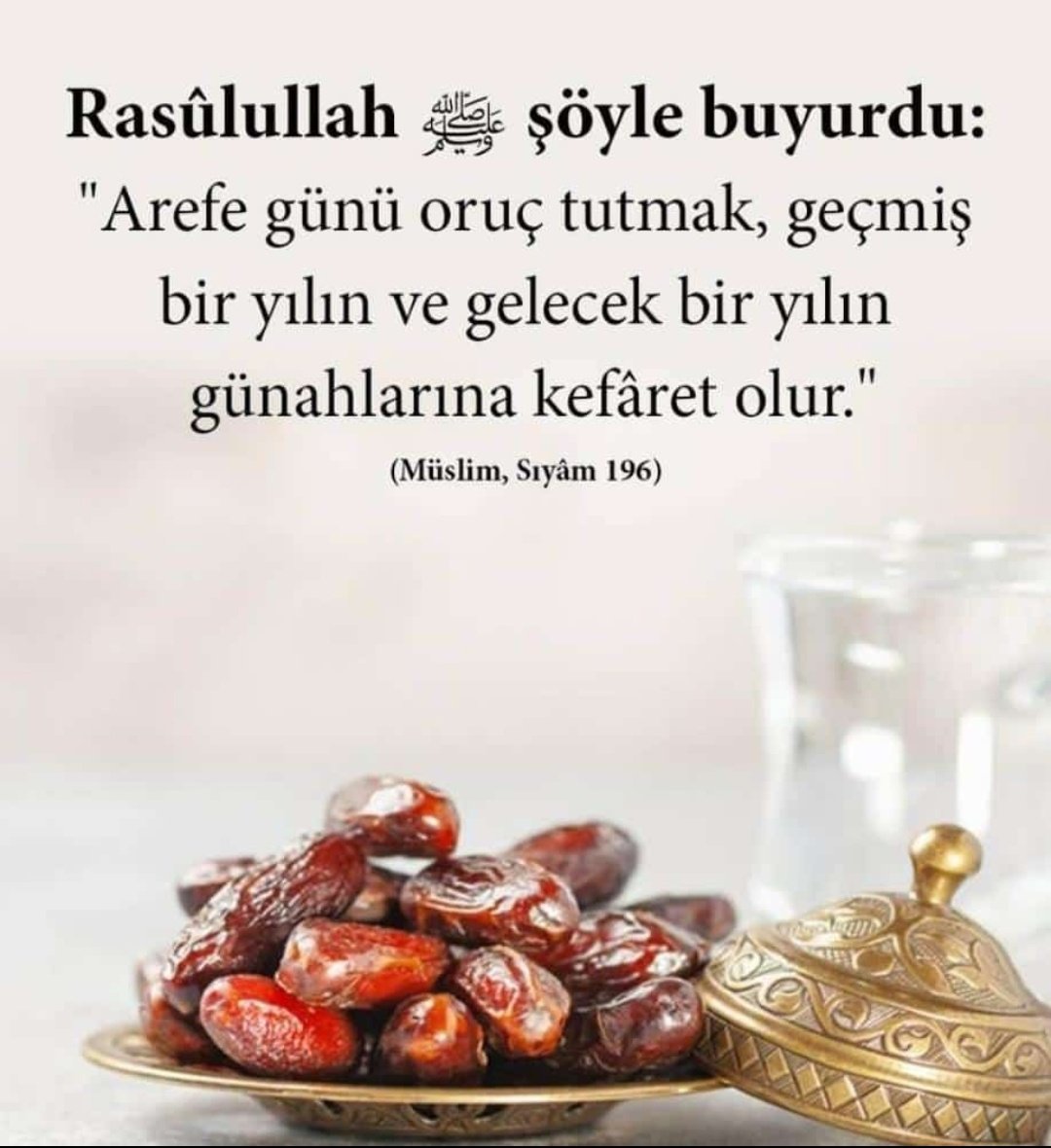 ZK15011984 🕊️ (@stback23) on Twitter photo 