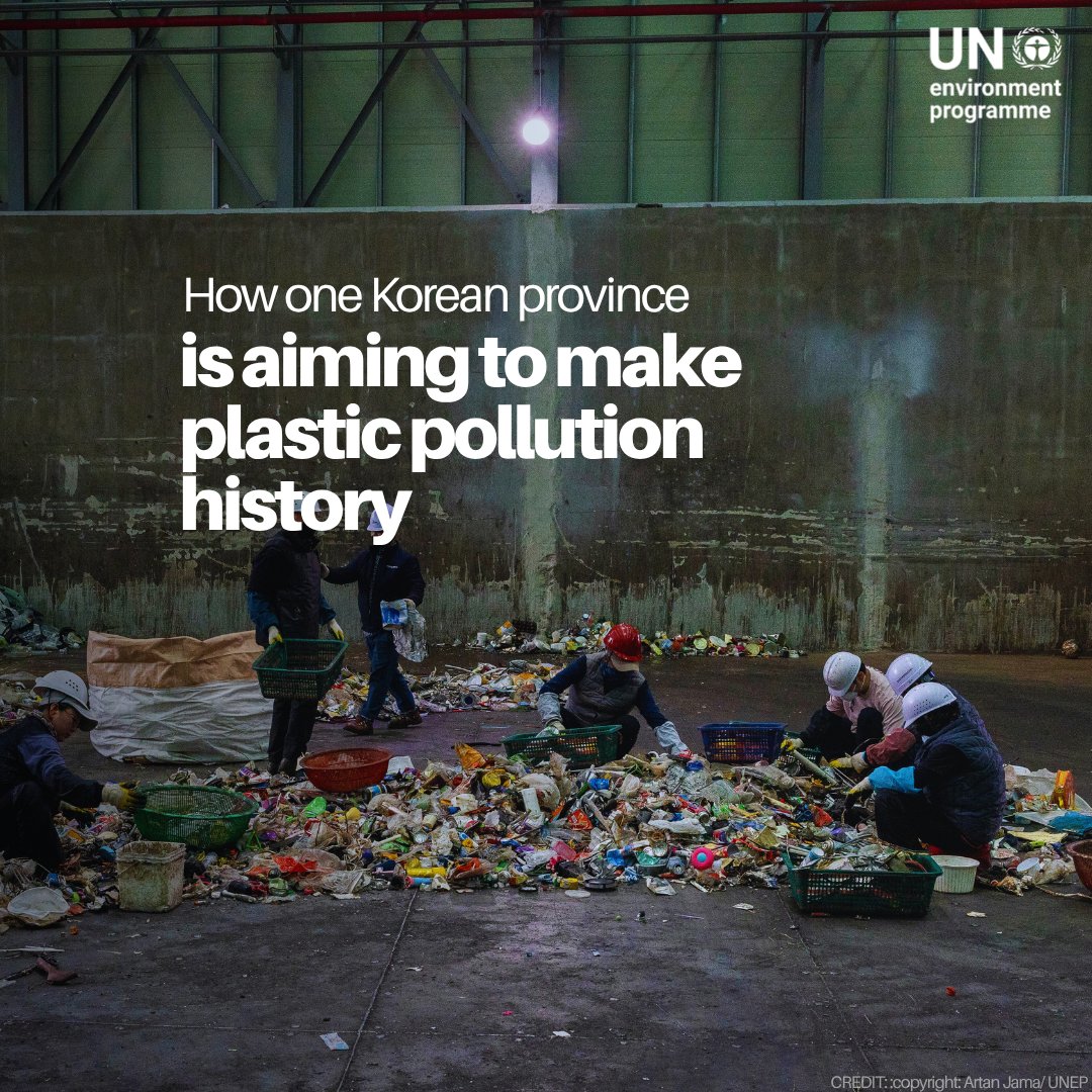 Once burdened by waste, the Republic of Korea's Jeju province is now a model for transforming plastic into economic value through recycling &amp; community action.

See how the host of this year's #WorldEnvironmentDay is taking action to #BeatPlasticPollution: unep.org/news-and-stori…