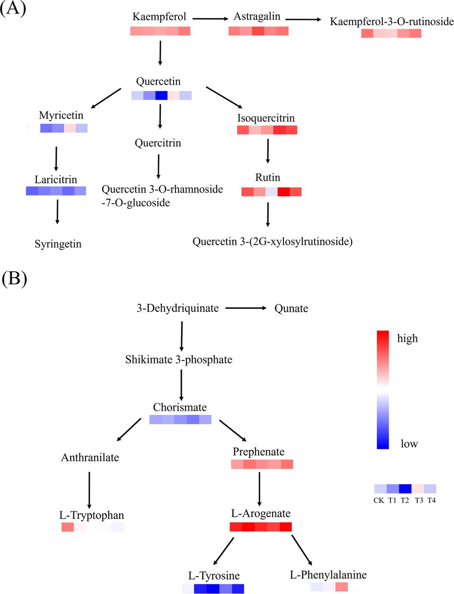 sci_plant's tweet photo. Biochar-based fertilizer increases soil nutrients and enhances tea quality: a metabolomics-based analysis 

https://t.co/JB3lD407Su 
♻️ https://t.co/HQrz03L7Wt