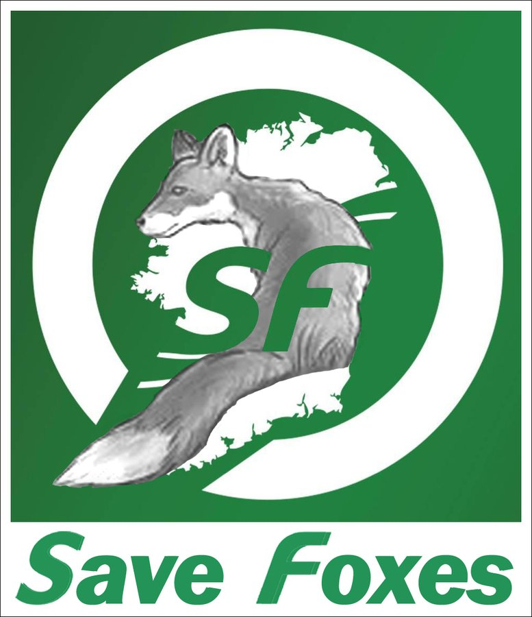 Ban Blood Sports (@banbloodsports) on Twitter photo We are calling on @SinnFeinIreland to help save foxes from cruelty and killing by backing a long overdue ban on foxhunting in the Republic of Ireland & Northern Ireland. Most citizens want it banned banbloodsports.wordpress.com/2025/03/24/sinβ¦ #Ireland #AnimalCruelty #BanFoxHunting #BanHuntingNI ππ¦ We are calling on @SinnFeinIreland to help save foxes from cruelty and killing by backing a long overdue ban on foxhunting in the Republic of Ireland & Northern Ireland. Most citizens want it banned banbloodsports.wordpress.com/2025/03/24/sinβ¦ #Ireland #AnimalCruelty #BanFoxHunting #BanHuntingNI ππ¦