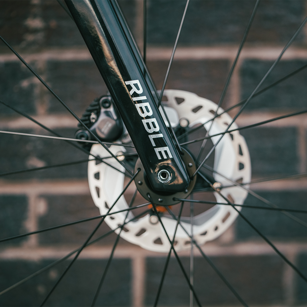 RibbleCycles's tweet photo. Pairing timeless titanium with all-road versatility - Allroad Ti gives you speed, comfort and confidence wherever you ride.
Durable. Lightweight. Limitless. https://t.co/3QXEMYePqC
#RibbleAllroadTi #RideWithoutLimits #TitaniumBike #AllRoadReady #RideRibble https://t.co/h5BGxKmr52