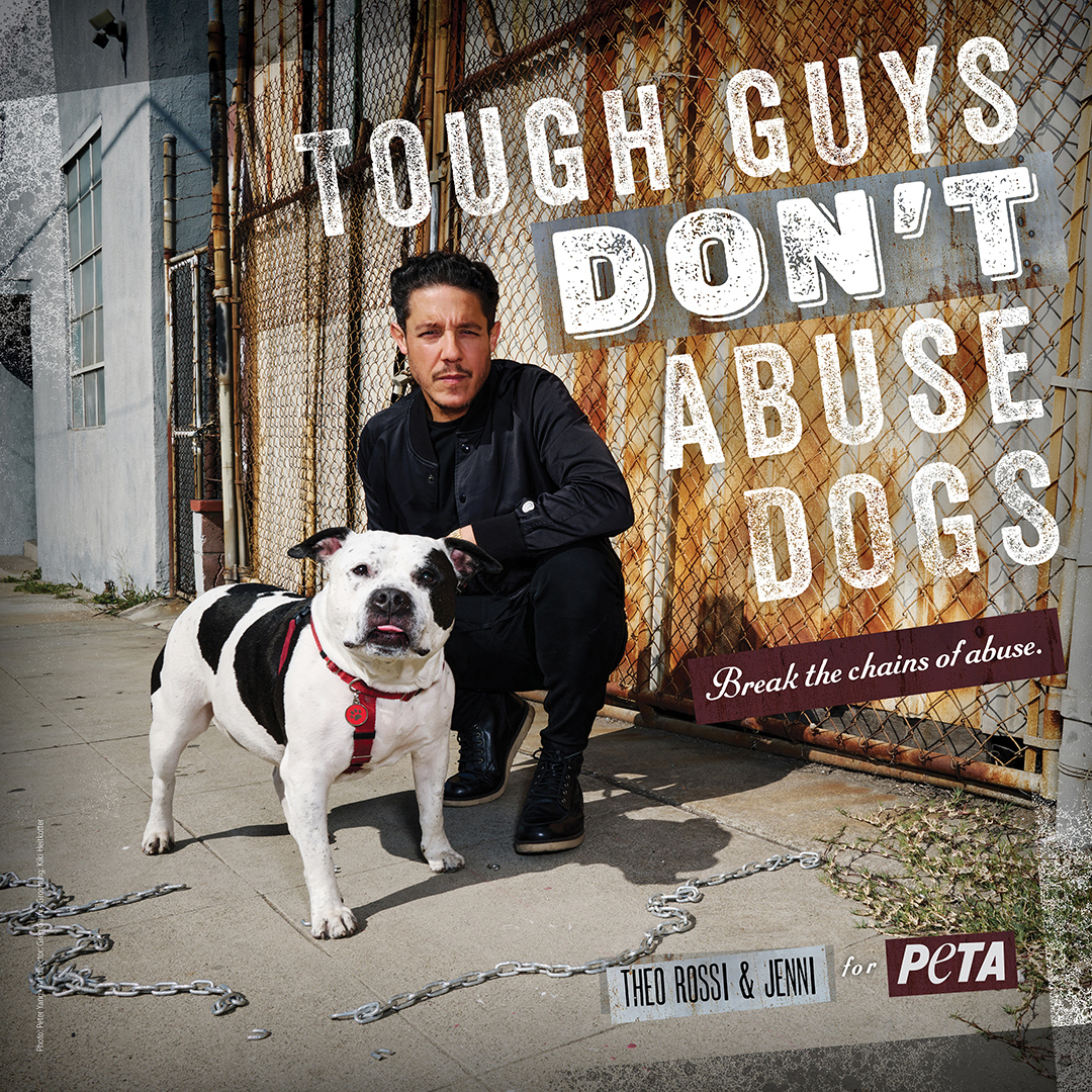 Happy birthday to @theorossi—actor, dog dad, and real-life tough guy with a soft spot for animals 🎉

With Jenni by his side, he proves that real strength means 𝘱𝘳𝘰𝘵𝘦𝘤𝘵𝘪𝘯𝘨, not posturing.
Thanks for showing the world that compassion is badass 💗🐶