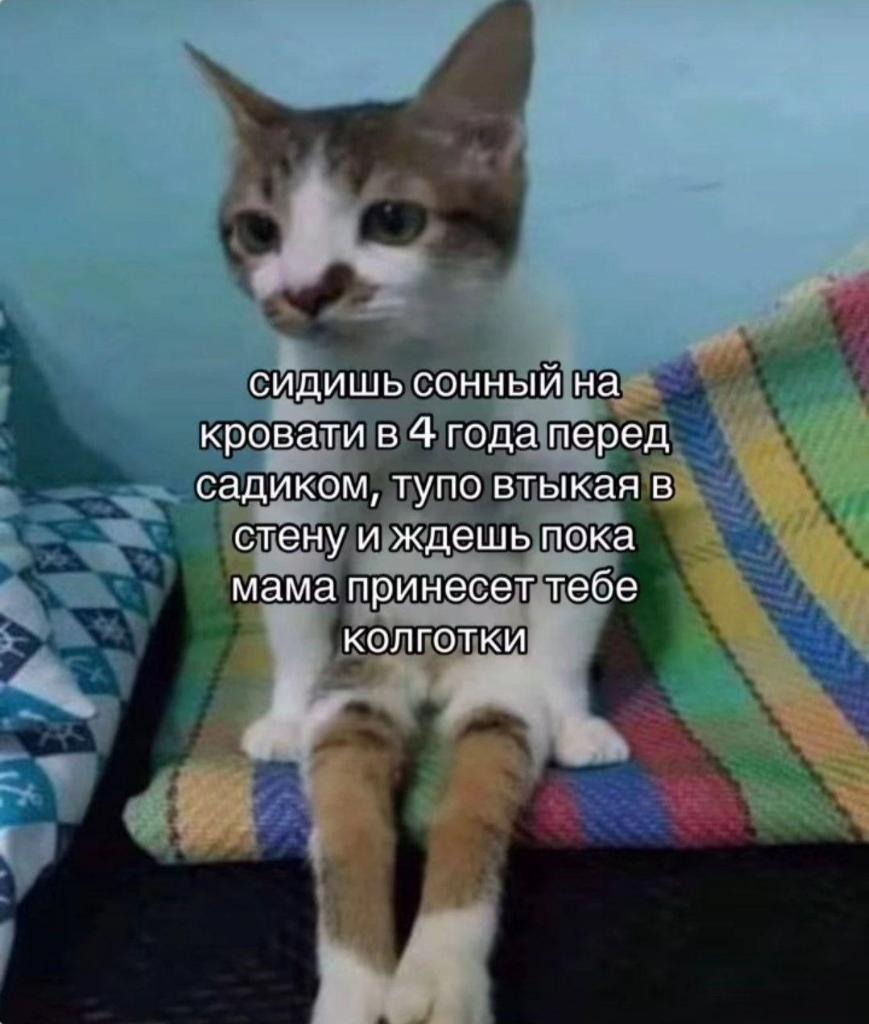 бимбо коза (@bzzzz3333) on Twitter photo 