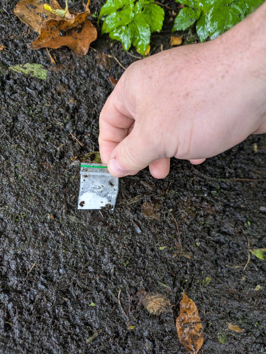 Thanks to our volunteers participating in a litter pick in Woodside forest, a small amount of suspected drugs were found and handed to  CRJ's drug disposal bins.
Were you aware that <a href="/CRJIcentral/">CRJI Central</a> office in Twinbrook has a drug disposal bin that you can anonymously any drugs?