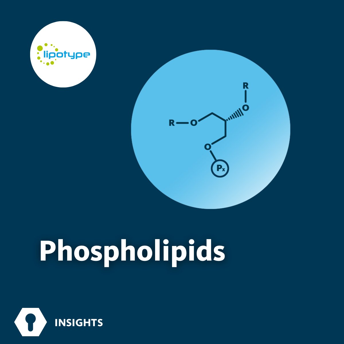 Lipotype (@lipotype_global) on Twitter photo #Lipid asymmetry shapes the unique properties of the plasma #membrane. One of the key contributors to this complexity is the diversity of #phospholipids.
More:
lipotype.com/lipidomics-ser…
#lipidomics #MassSpectrometry #lipotype #LipidMetabolism #lipid #lipids #CellMembrane #Lipid asymmetry shapes the unique properties of the plasma #membrane. One of the key contributors to this complexity is the diversity of #phospholipids.
More:
lipotype.com/lipidomics-ser…
#lipidomics #MassSpectrometry #lipotype #LipidMetabolism #lipid #lipids #CellMembrane
