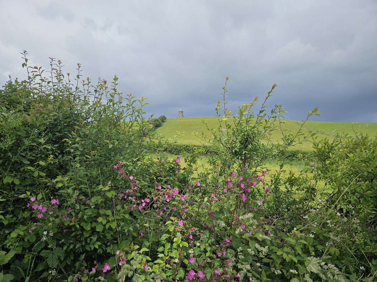 Redbirdcreation's tweet photo. Moody skies in Cumbria today ☁️ #Cumbria #weather #countryside https://t.co/a9wuuyPf8W