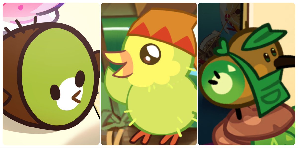 𝒕𝒉𝒓𝒆𝒆 𝒌𝒊𝒘𝒊 𝒃𝒊𝒓𝒃𝒔🥝🐣