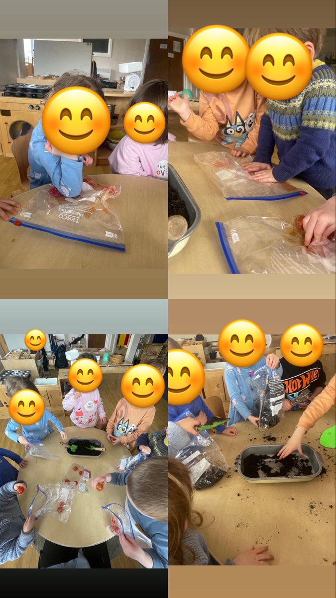 Buttercups2018's tweet photo. 🍅 Tomato Planting

The children in Blue Room planted tomatoes together and have enjoyed watching them grow, well done children! 

🍅 Plannu Tomato

Plannodd y plant yn yr Ystafell Glas domatos gyda'i gilydd ac maen nhw wedi mwynhau eu gwylio'n tyfu, da iawn blant! https://t.co/U9lrva3Zav