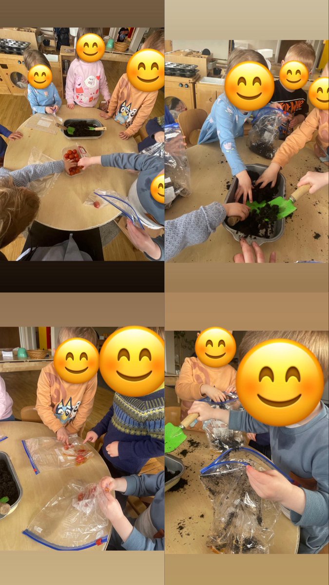 Buttercups2018's tweet photo. 🍅 Tomato Planting

The children in Blue Room planted tomatoes together and have enjoyed watching them grow, well done children! 

🍅 Plannu Tomato

Plannodd y plant yn yr Ystafell Glas domatos gyda'i gilydd ac maen nhw wedi mwynhau eu gwylio'n tyfu, da iawn blant! https://t.co/U9lrva3Zav