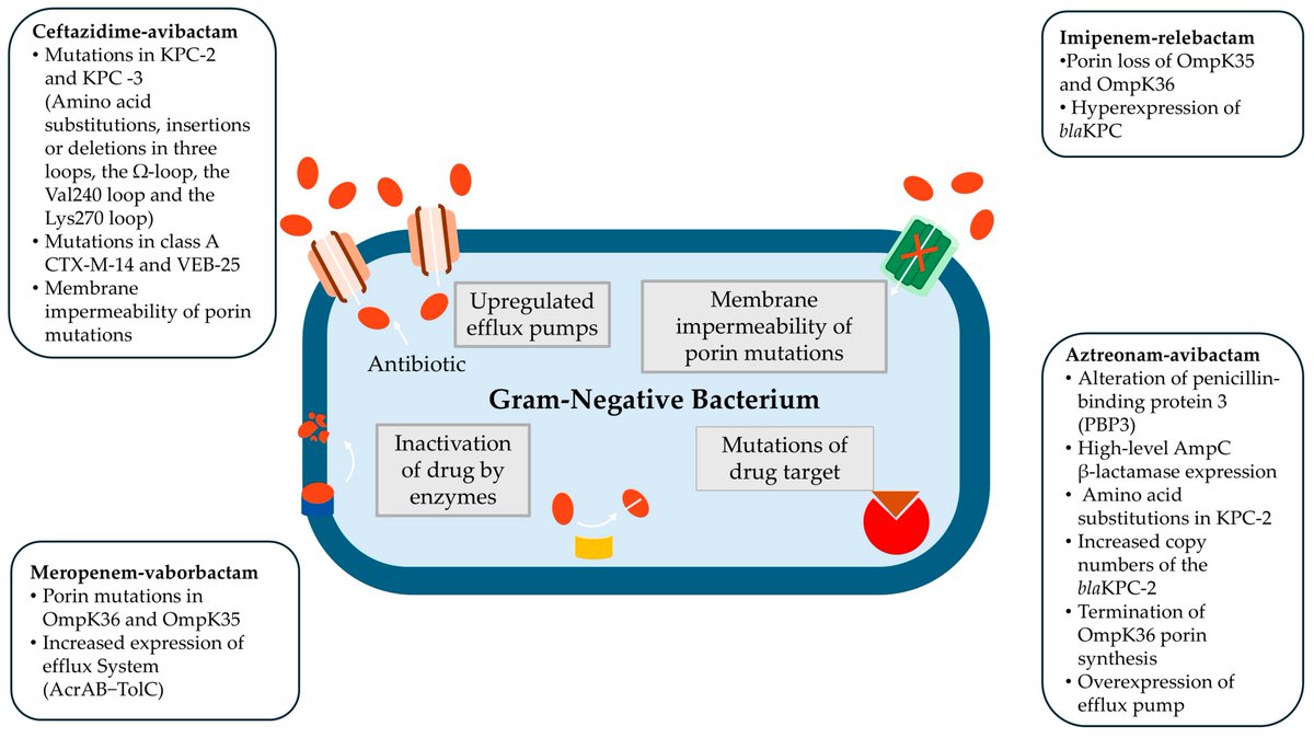 #NewPublication 

📑Breaking Through #Resistance: A Comparative Review of New Beta-Lactamase Inhibitors  (Avibactam, Vaborbactam, Relebactam) Against #Multidrug-Resistant #Superbugs by Dr. Ilias Karaiskos et al.

🔗You can find it at: mdpi.com/2079-6382/14/5…
