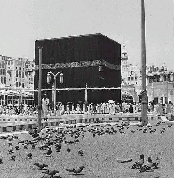 مناور عيد سليمان tweet media