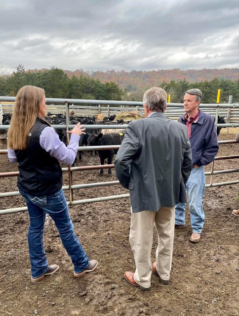 Congressman Ben Cline tweet media