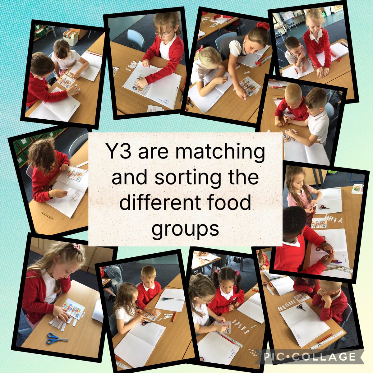In science today, Y3 are learning about the different food groups that are important for our health and growth. They have created their own balanced meals.
