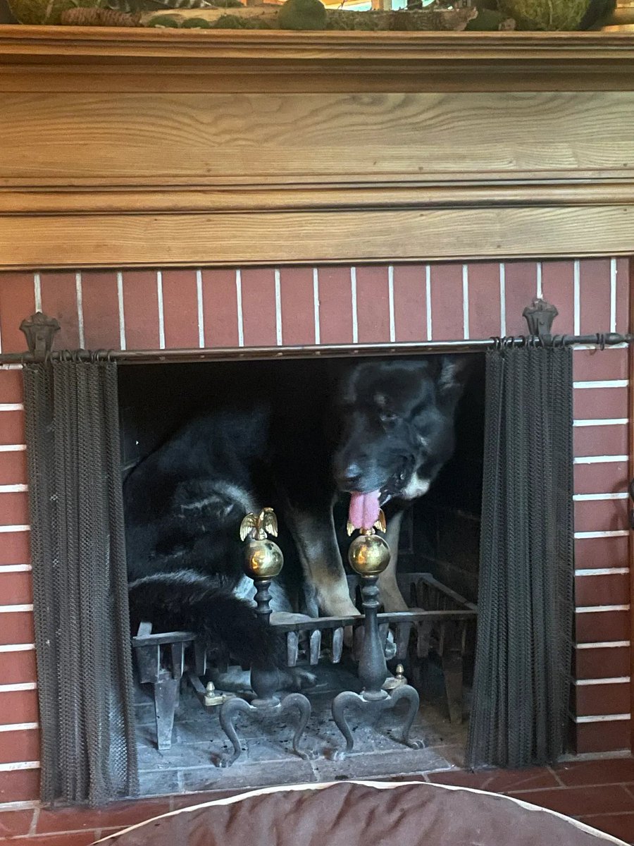 From today's newsletter: There was thunder at home yesterday, and Eli sought shelter in… the fireplace. Fortunately, all the ashes had been cleaned out. But still.
charliesykes.substack.com/p/abominations…
