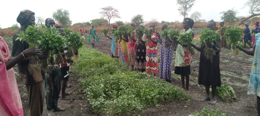With support from the #SouthSudan Humanitarian Fund, <a href="/FAO/">Food and Agriculture Organization</a> and <a href="/WHH_SouthSudan/">WHH South Sudan - Welthungerhilfe</a> provided seeds to 12 000 households in Rubkona County.

Now, host communities &amp; returnees affected by the Sudan conflict are growing vegetables 🌱 to boost #FoodSecurity &amp; rebuild #Livelihoods.