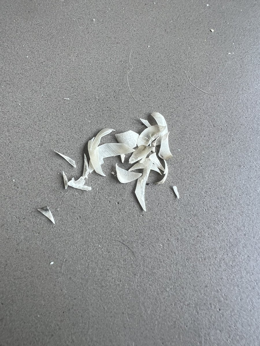 Which sub want to buy my clipped toenails?