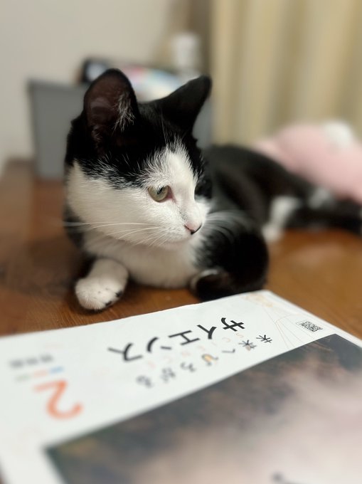 Twitterのコスプレ画像33